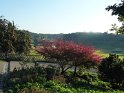 2011-10-20 09-59-01 Rando Parc de La Courneuve CGn